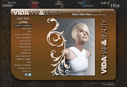Website example