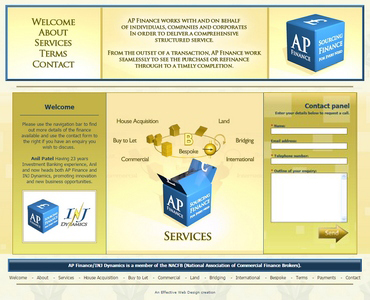 Website example
