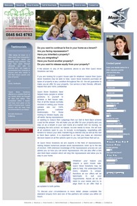 Website example