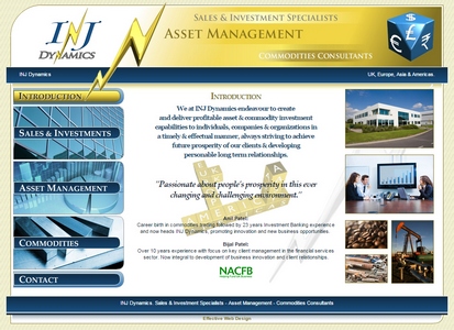 Website example