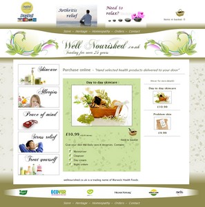 Website example